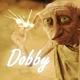   xDobby